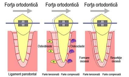 Q Med - clinica stomatologica